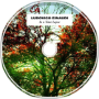 Experience - Ludovico Einaudi (piano cover)