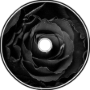 (Club) Black Rose