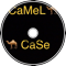 camelCaseMusic - TinySong 3