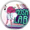 Mosh Lab 10. Prius Envy Two