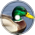A Duck Type Beat