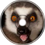 Lemurs (Roses Parody)
