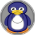 World of Penguins - Jamuary 6, 2022