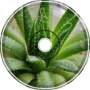 Aloe crustan - FruityMuffinz3X