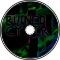 Ruined Cyber