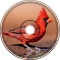 "Little Red Bird" - Orchestral