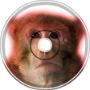Monkey Beat