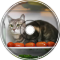 Waterflame - The Fridge Cat [CatConet remix] (Feat. Miku)