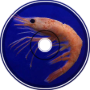 Shrimp-Fi