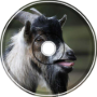 Ghost Goat