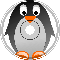 Puzzling Penguin