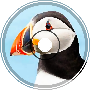 Diving Puffin