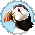 Diving Puffin
