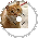 Suck the Cat Dry