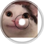 meow song