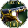 Chocnoon - Snake Attraction (CXCIII)