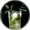 Zingjud - lime, mint leaves and soda