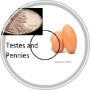 Testes And Pennies