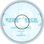 Ludovido Einaudi - Experience [CatInACup Remix]