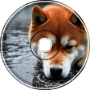 Revenant - Shiba Guilt Trip