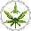 Legalize Marijuana (REGGAE = RE-GAY!)