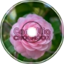 Chocnoon - Camellia (CCLIV)