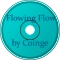 Flowing Flow