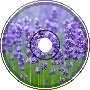 lavender (w/ Delwyn)