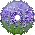 lavender (w/ Delwyn)