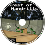 Forest of the Mandrills