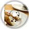 Cannoli Wars