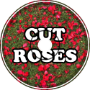 Cut Roses
