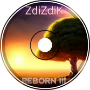 ZdiZdiK - REBIRTH III