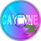 Cayenne 2
