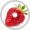 Strawberry Bossa Jam