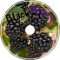 BlackBerry