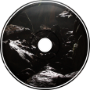 In Caves