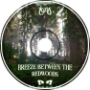 Breeze Between The Redwoods (Color Bass)