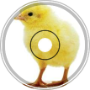 Ici v2