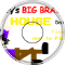 Bobbys big brain house title