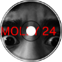 MOLLY 24
