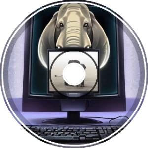 Elephant in Internet