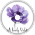 Plummy - A lonely Violet