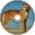 dingo