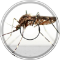 Mosquitostep