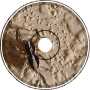 Ground Spiders