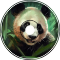 Fat Panda