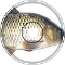 Augmented Carp