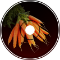 Carrot EP: 01-Revenge of The Carrots