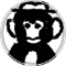 fonkey monkey